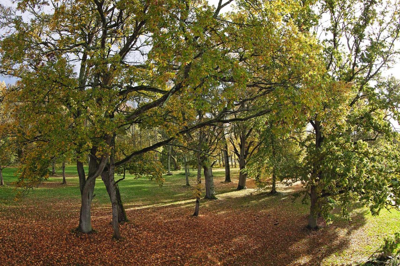 Eistvere Manor Accommodation Εξωτερικό φωτογραφία